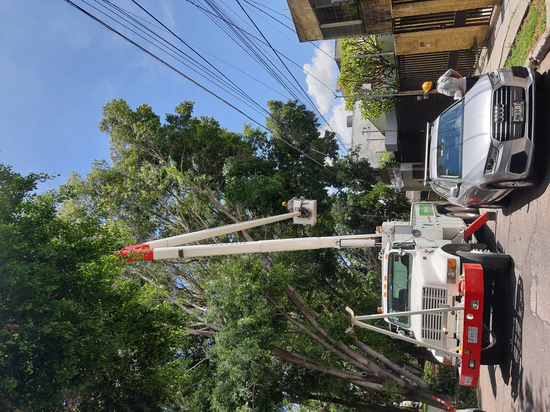 Trabajo en sitio