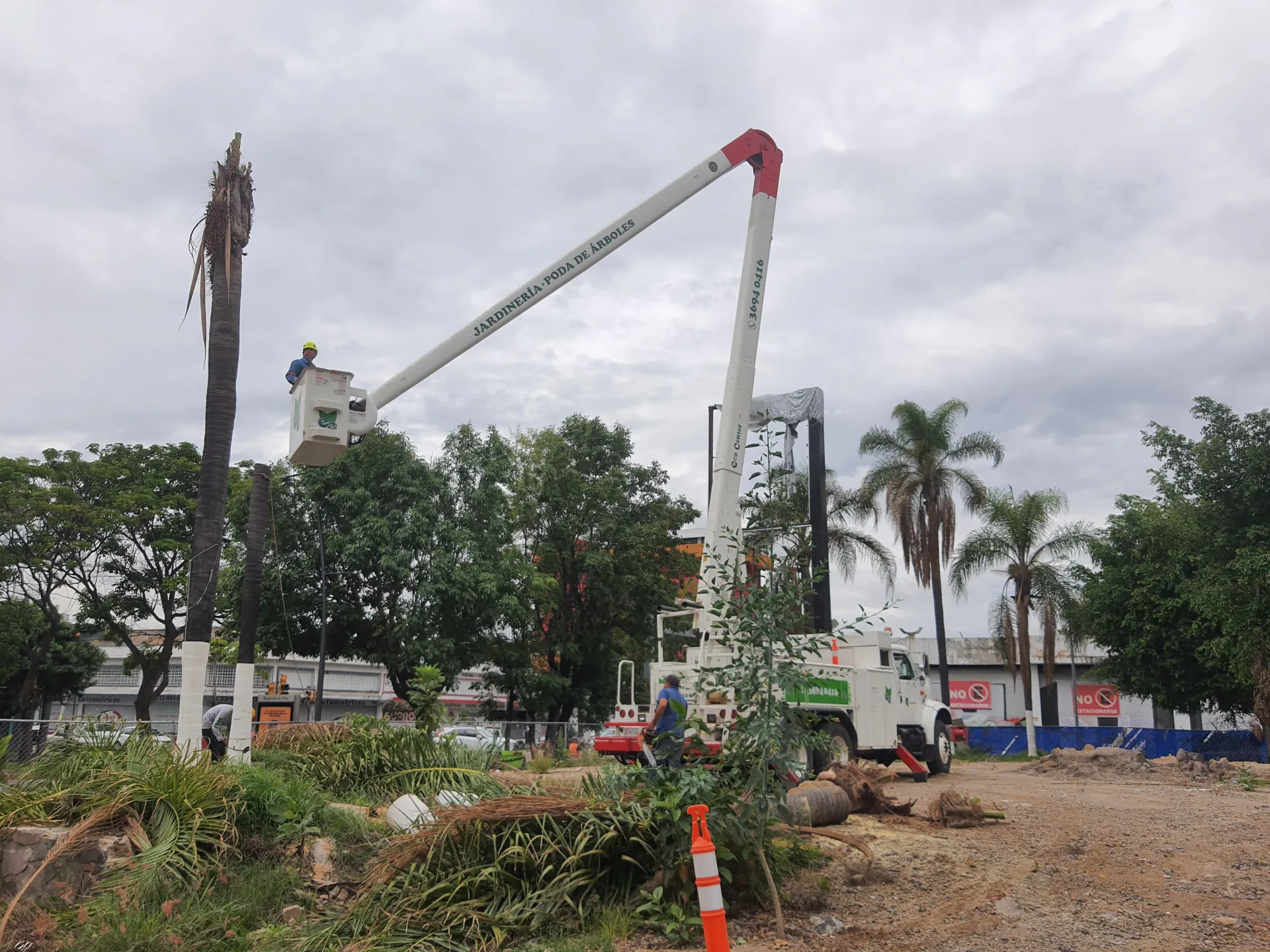 Trabajo en sitio