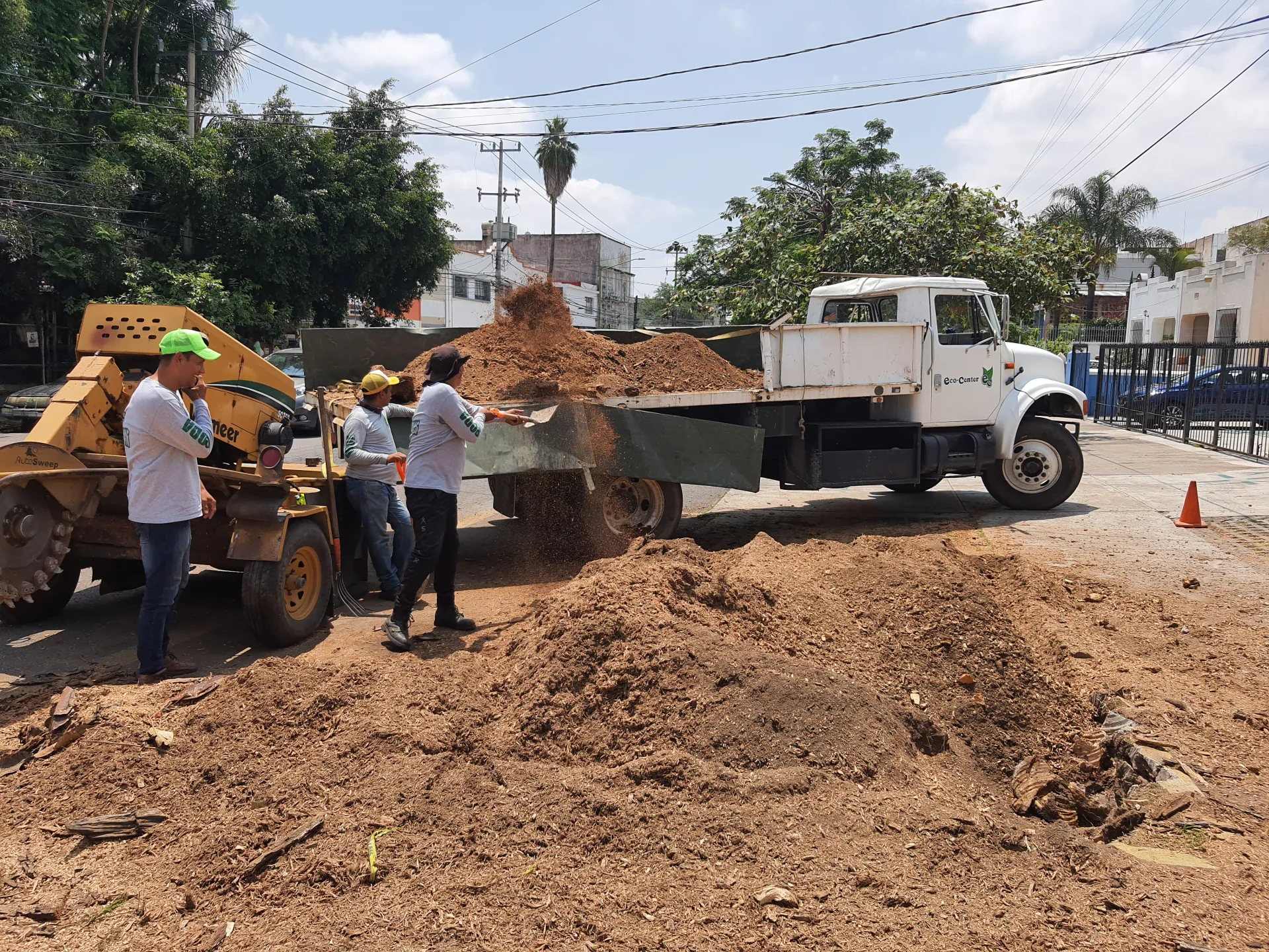 Trabajo en sitio