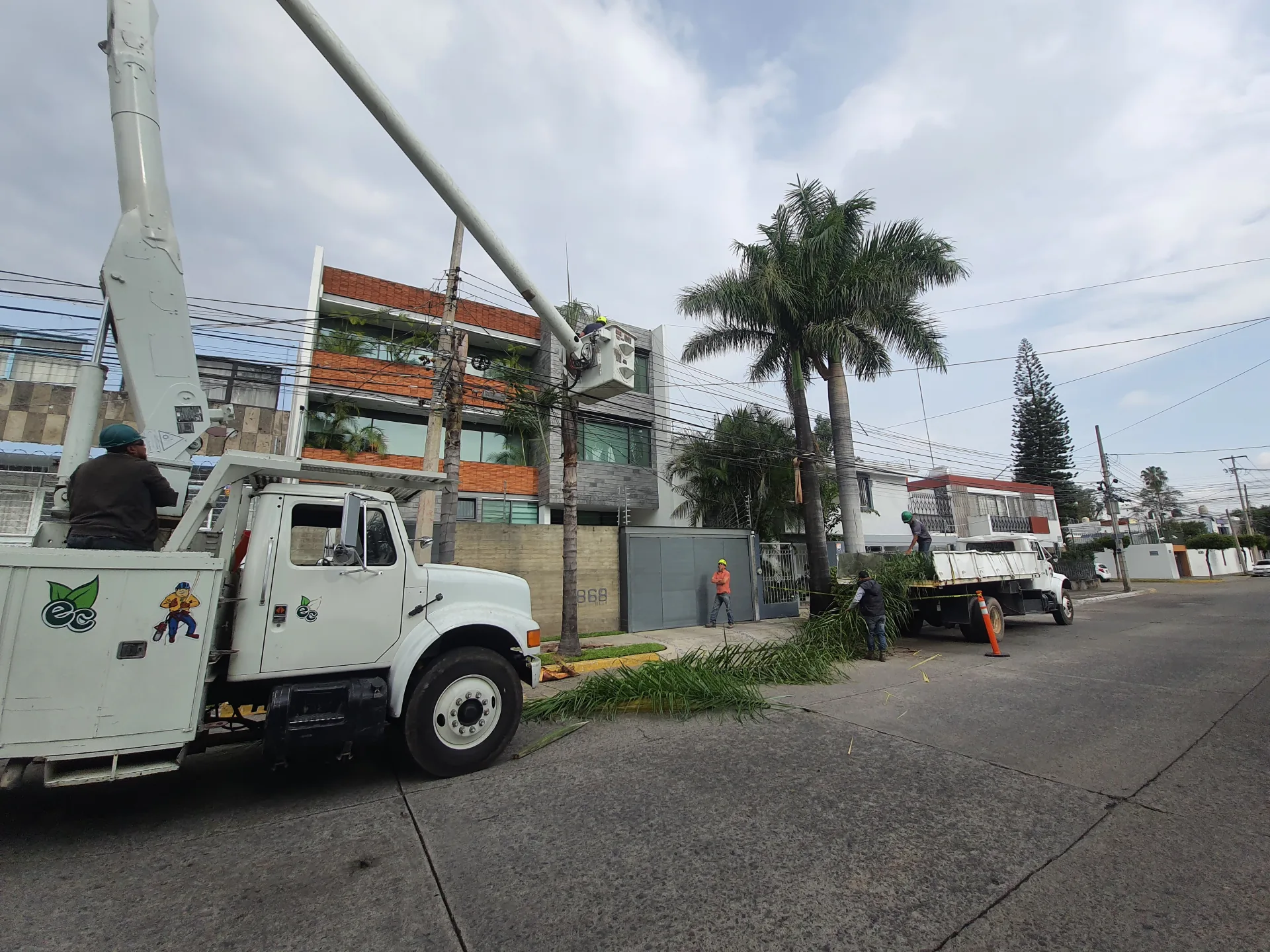 Trabajo en sitio