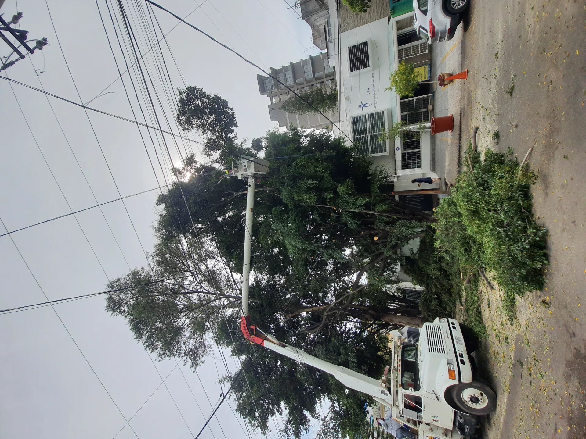 Trabajo en sitio